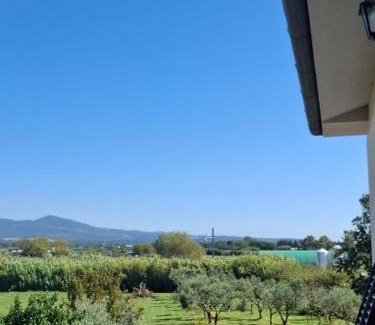 Vada Apartment | Rosignano Marittimo Rosa Bianca
