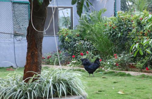 Lonavala Villa | Royal Escape Lonavla - 4BHK Private Pool Villa