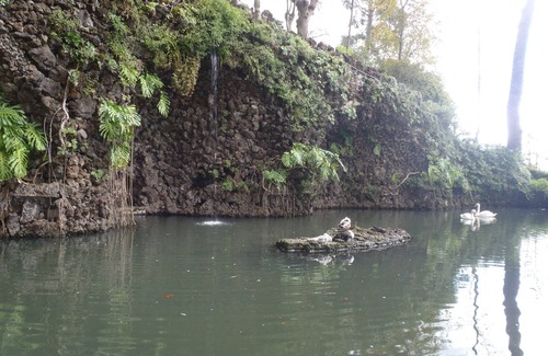 Se Resort | Royal Savoy, Madeira: Luxury Ocean Front Superior Studio