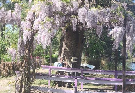 Partido de Tigre House | Ruca Hueney