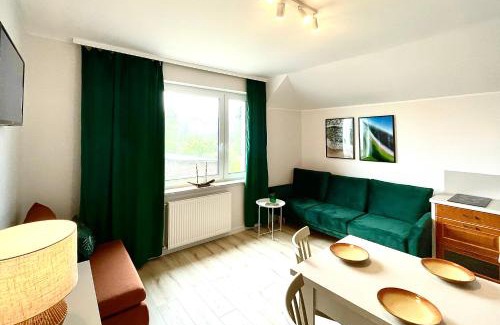 Chlapowo Apartment | Rudnik-apartamenty z basenem, sauną i banią