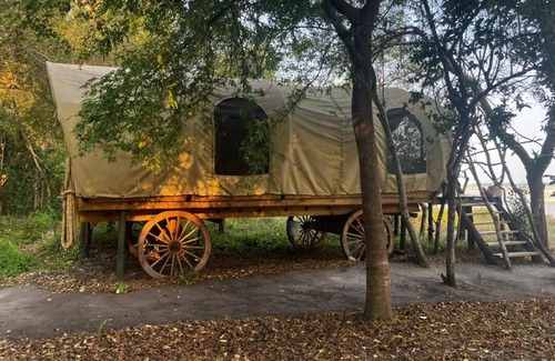 Rufiji Other | Rufiji Explorers
