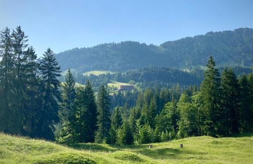 Schattwald Hotel | Ruhehotel & Naturresort Rehbach - Adults only