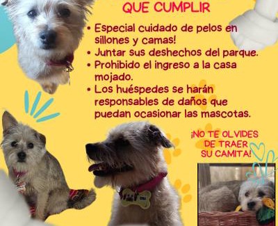 Baradero House | Ruka Baradero