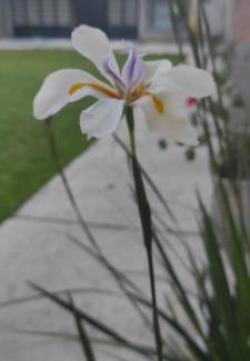 Baradero House | Ruka Baradero