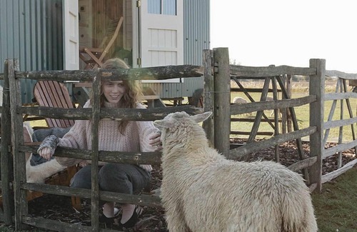 St Mary's Bay Cabin | Rumwold by Bloom Stays - a rural shepherds hut sleeping 2 with amazing views!