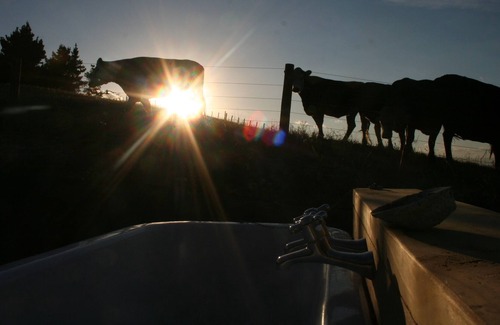 Havelock North Cottage | Rural boutique accommodation