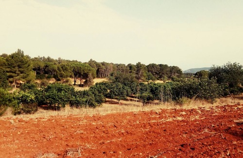 Sant Llorenc de Balafia Cottage | RURAL HOUSE IN FULL NATURE. IDEAL FAMILIES. PRIVATE POOL. FREE WIF