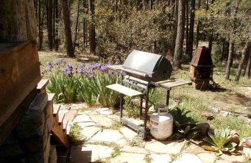 Payson House | Rustic Cabin Rental near Tonto National Forest in Payson, Arizona