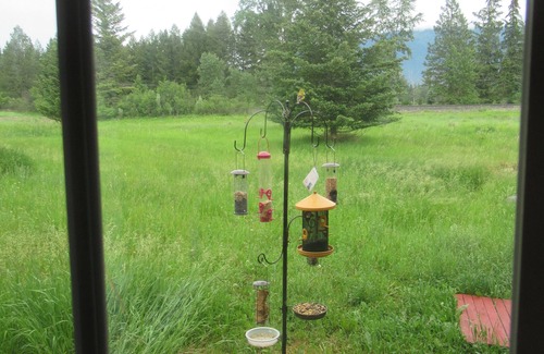 Columbia Falls House | Rustic Chalet 20 minutes from Glacier National Park