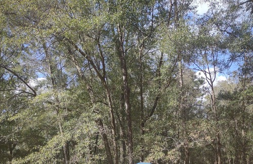 Lake City RV Rental | Rustic Country Camp Site for your tents