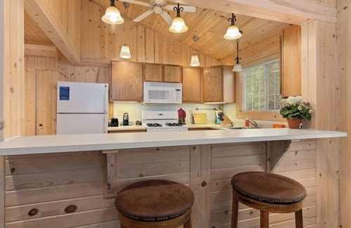 Sayner Cabin | Rustic Fawn | Fireplace, AC, Lake Access w/Dock, Dogs OK w/fee