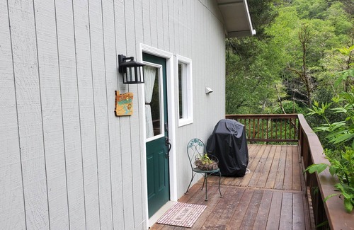 Brookings Cabin | Rustic Lodge - Tree House Cabin in the Mountains of Brookings