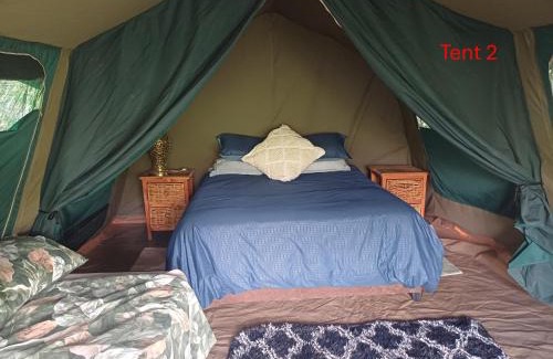 Wynberg Other | Rustic Unique - Bush Glamping Retreat
