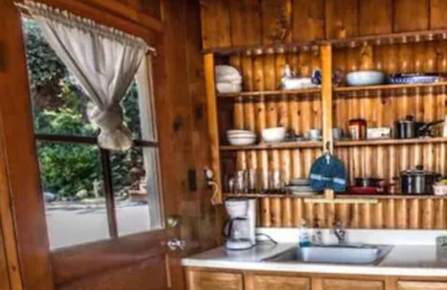 Bayfield Cabin | Rustic Vallecito Lake Cabin9 w/lakeside views