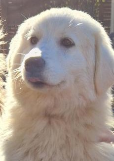 Jouques House | Séjour à la ferme