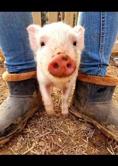 Jouques House | Séjour à la ferme