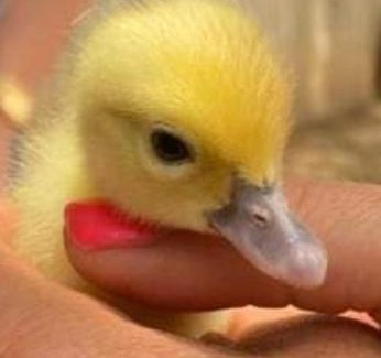 Jouques House | Séjour à la ferme