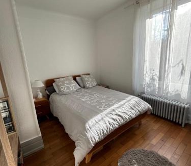 Thann Apartment | Séjour entre ville et montagnes Appartement 100m2