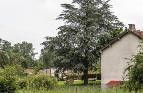 Mazirat House | Séjour paisible à Mazirat : Confort et charme au cœur de l'Allier - FR-1-489-127