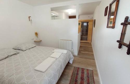La Roche-sur-Yon Apartment | Séjour Sauna et Jacuzzi Cocon