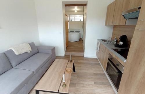La Roche-sur-Yon Apartment | Séjour Sauna et Jacuzzi Cocon