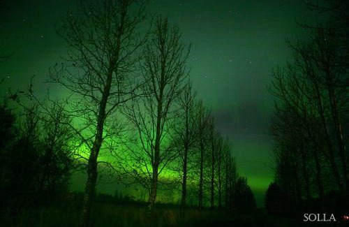 Blaskogabyggd House | Sóltún -A cozy modern cabin in Klettaholt by the Golden Circle