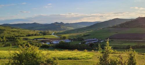 Sacel House | Sólyom Major - Gut Falkenhof