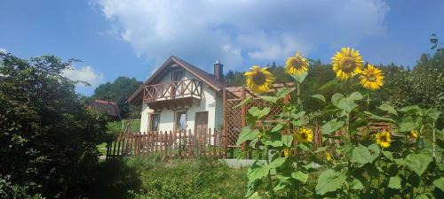 Zawoja Ski Chalet | Słoneczna Chałupka