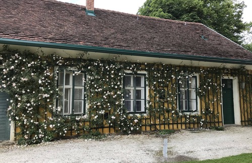 Magdalensberg Apartment | Saddle room and studio
