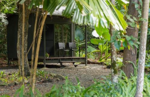 Cape Tribulation Cabin | Safari Lodge