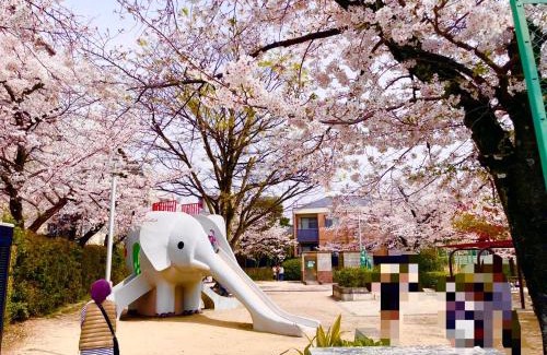 Toyonaka Apartment | Sakura Apartment - Vacation STAY 17178