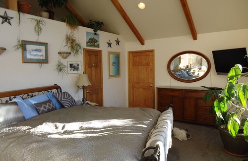 Salida Other | Salida, every good thing those other great mountain towns used to be.