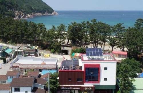Samcheok House | Samcheok Rodem
