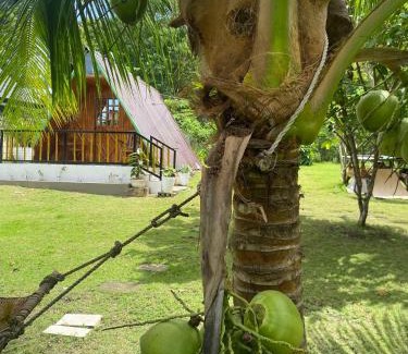 Albuquerque House | Sanset Villa