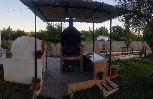 Ronda House | Santa Ana fig tree