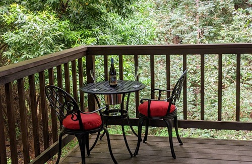 Carbonera Estates Apartment | Santa Cruz RedwoodsnFamily-sized guest suite. Close to hiking & beach.