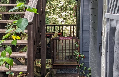 Carbonera Estates Apartment | Santa Cruz RedwoodsnFamily-sized guest suite. Close to hiking & beach.