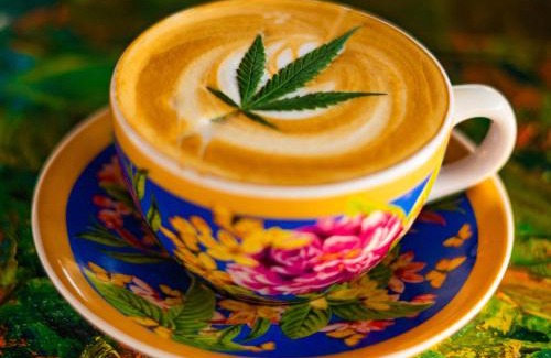 San Antonio House | Santiago Dc Hostal 420 weedfriendly
