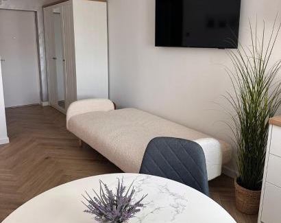 Oradea Apartment | Scandi LOFT 93 Oradea ARED