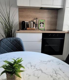 Oradea Apartment | Scandi LOFT 93 Oradea ARED