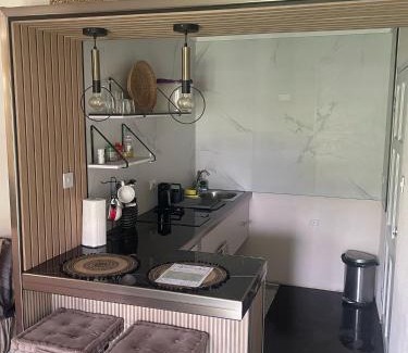 Haggatt Hall Apartment | Scarlett Studios 1 -US Embassy Appt 7 mins drive- Lloyd Erskine Sandiford Centre and Ross uni 5 mins drive - Only the 1 night package includes Airport and US Embassy roundtrip