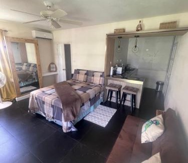 Haggatt Hall Apartment | Scarlett Studios 1 -US Embassy Appt 7 mins drive- Lloyd Erskine Sandiford Centre and Ross uni 5 mins drive - Only the 1 night package includes Airport and US Embassy roundtrip