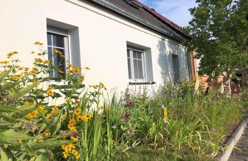 Braunsberg Apartment | Schäferstübchen - Urlaub auf dem Bauernhof