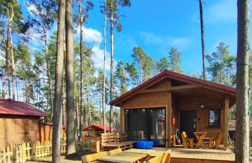 gmina Karsin House | Schadzka w dwunastce z widokiem na jezioro