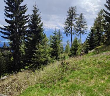 Bodensdorf House | Schalale