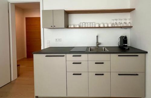 Heilbronn Apartment | Schickes 2-Zi-Apartment am Neckarufer BUGA-Park mit TG-Stellplatz