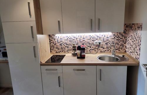 Zentrum Apartment | Schloßchemnitz No 42 Bergstr