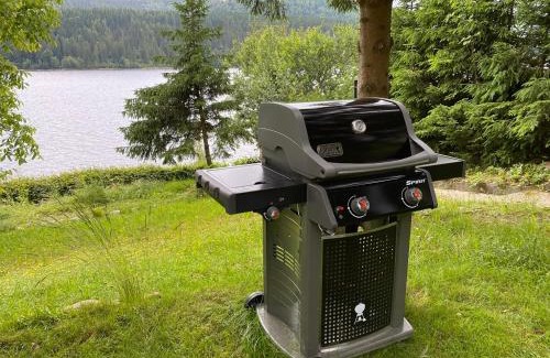 Schluchsee Apartment | Schluchsee, Villa Seepark