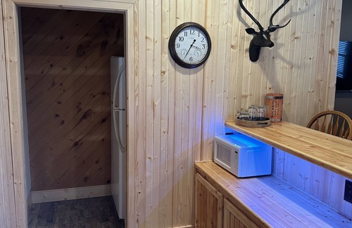 Mecosta House | School Section Lake Cozy Cabin